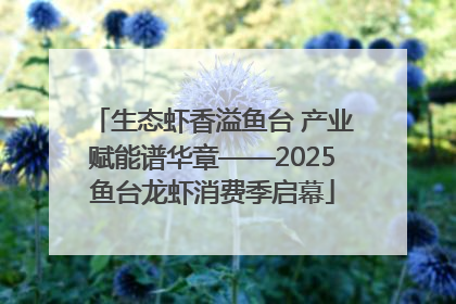 生态虾香溢鱼台 产业赋能谱华章——2025鱼台龙虾消费季启幕