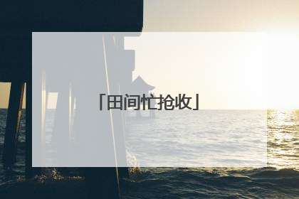 田间忙抢收