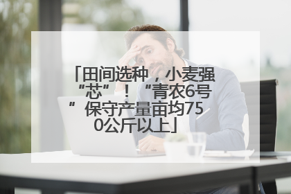 田间选种，小麦强“芯”！“青农6号”保守产量亩均750公斤以上
