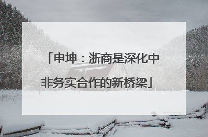 申坤：浙商是深化中非务实合作的新桥梁