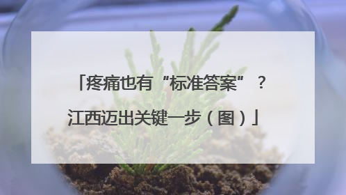 疼痛也有“标准答案”？江西迈出关键一步（图）