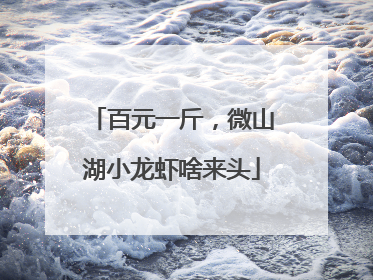 百元一斤，微山湖小龙虾啥来头
