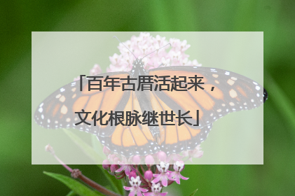 百年古厝活起来，文化根脉继世长