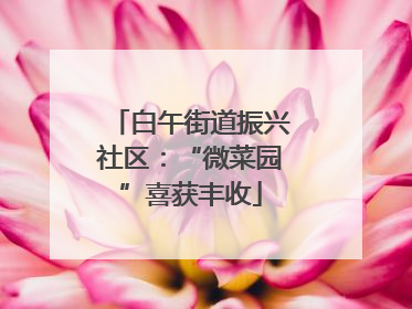 白午街道振兴社区：“微菜园”喜获丰收
