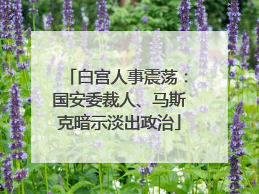 白宫人事震荡：国安委裁人、马斯克暗示淡出政治