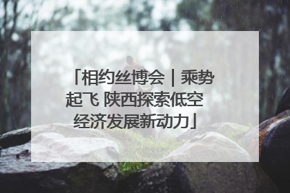 相约丝博会｜乘势起飞 陕西探索低空经济发展新动力