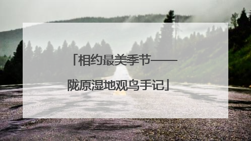 相约最美季节——陇原湿地观鸟手记