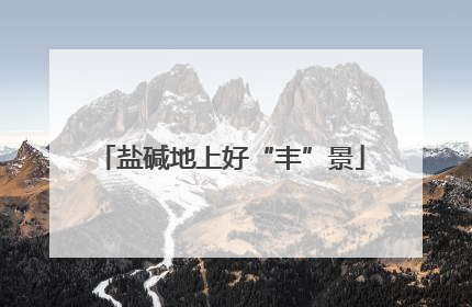 盐碱地上好“丰”景