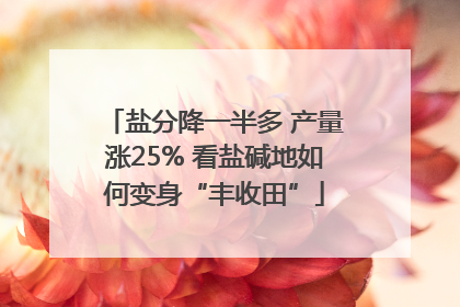 盐分降一半多 产量涨25% 看盐碱地如何变身“丰收田”