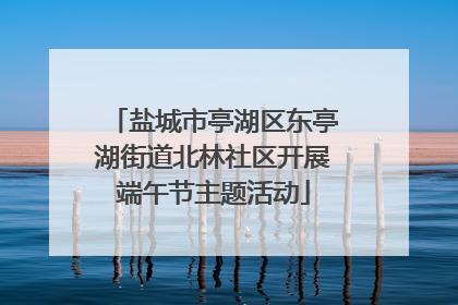 盐城市亭湖区东亭湖街道北林社区开展端午节主题活动