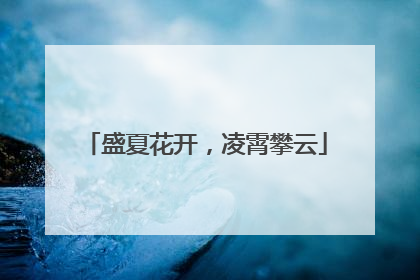 盛夏花开，凌霄攀云
