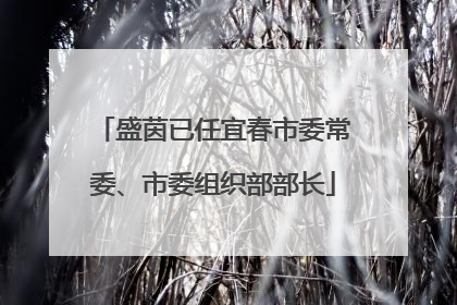 盛茵已任宜春市委常委、市委组织部部长