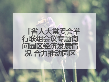 省人大常委会举行联组会议专题询问园区经济发展情况 合力推动园区经济高质量发展 王宁主持会议并讲话 王予波带队到会应询
