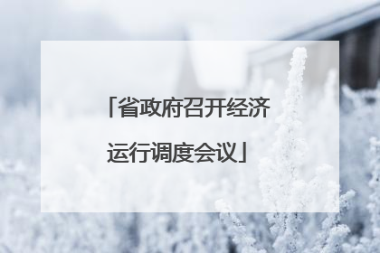 省政府召开经济运行调度会议