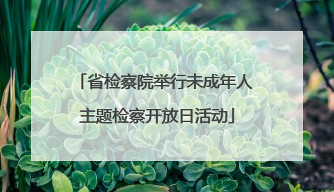 省检察院举行未成年人主题检察开放日活动