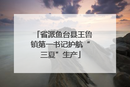 省派鱼台县王鲁镇第一书记护航“三夏”生产
