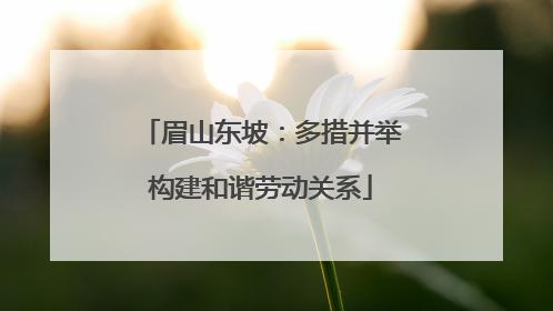 眉山东坡：多措并举构建和谐劳动关系