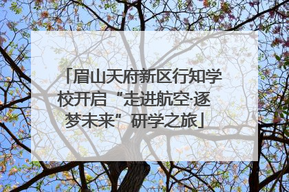 眉山天府新区行知学校开启“走进航空·逐梦未来”研学之旅