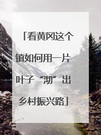 看黄冈这个镇如何用一片叶子“沏”出乡村振兴路