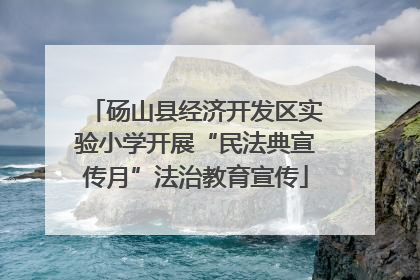 砀山县经济开发区实验小学开展“民法典宣传月”法治教育宣传