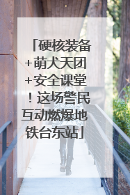 硬核装备+萌犬天团+安全课堂！这场警民互动燃爆地铁台东站