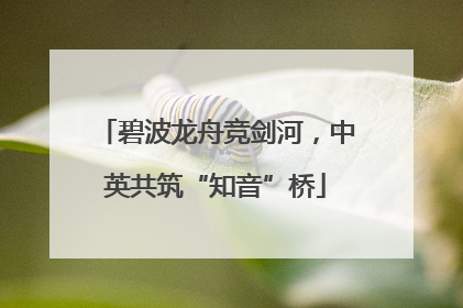 碧波龙舟竞剑河，中英共筑“知音”桥