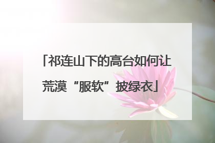 祁连山下的高台如何让荒漠“服软”披绿衣