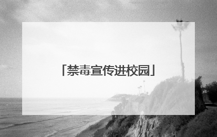 禁毒宣传进校园