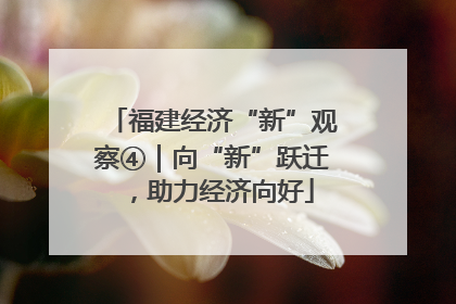 福建经济“新”观察④｜向“新”跃迁，助力经济向好