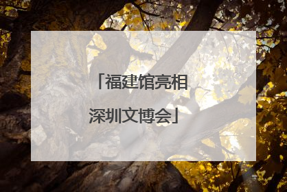 福建馆亮相深圳文博会