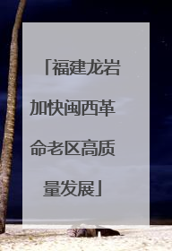 福建龙岩加快闽西革命老区高质量发展