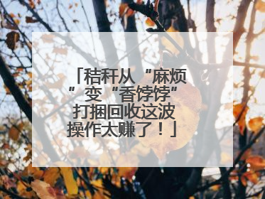 秸秆从“麻烦”变“香饽饽” 打捆回收这波操作太赚了！