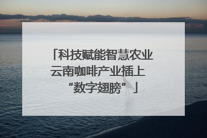 科技赋能智慧农业 云南咖啡产业插上“数字翅膀”
