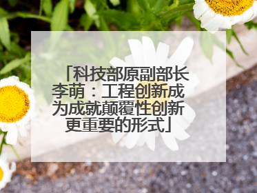 科技部原副部长李萌：工程创新成为成就颠覆性创新更重要的形式
