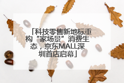 科技零售新地标重构“家场景”消费生态，京东MALL深圳首店启幕