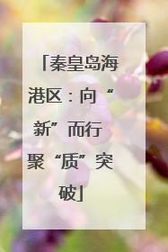 秦皇岛海港区：向“新”而行 聚“质”突破