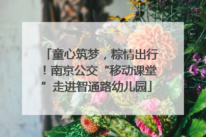童心筑梦，粽情出行！南京公交“移动课堂”走进智通路幼儿园