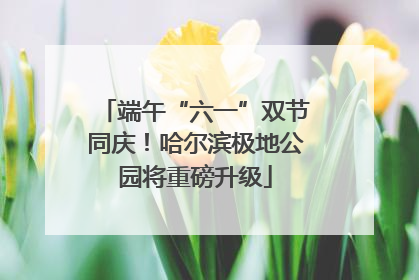 端午“六一”双节同庆！哈尔滨极地公园将重磅升级