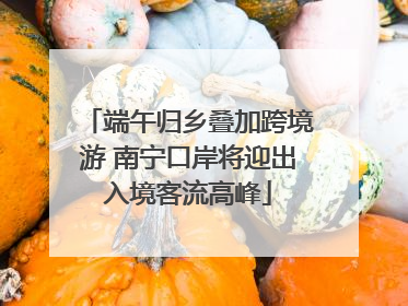 端午归乡叠加跨境游 南宁口岸将迎出入境客流高峰