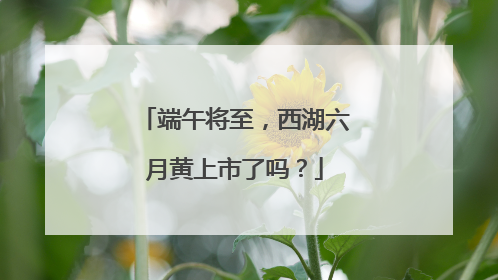 端午将至，西湖六月黄上市了吗？