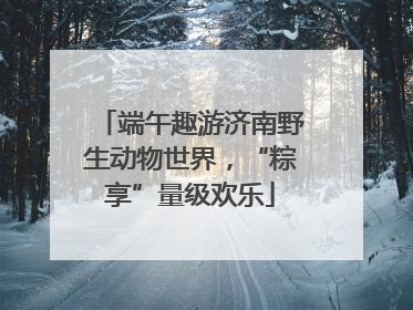 端午趣游济南野生动物世界，“粽享”量级欢乐
