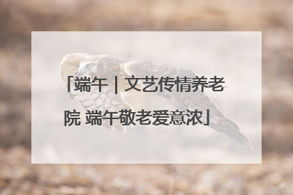 端午｜文艺传情养老院 端午敬老爱意浓