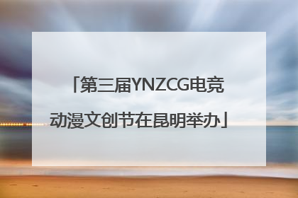 第三届YNZCG电竞动漫文创节在昆明举办