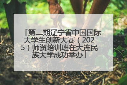 第二期辽宁省中国国际大学生创新大赛（2025）师资培训班在大连民族大学成功举办