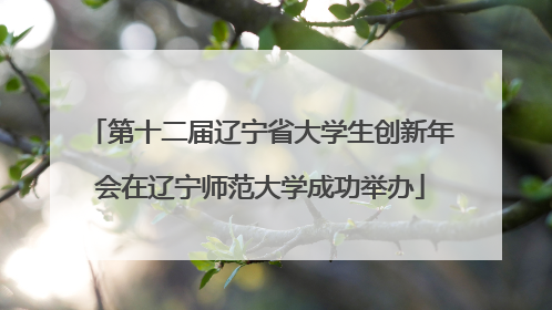 第十二届辽宁省大学生创新年会在辽宁师范大学成功举办