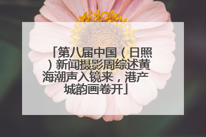 第八届中国（日照）新闻摄影周综述黄海潮声入镜来，港产城韵画卷开