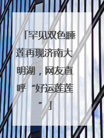 罕见双色睡莲再现济南大明湖，网友直呼“好运莲莲”