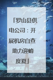 罗山县供电公司：开展机房自查 助力迎峰度夏