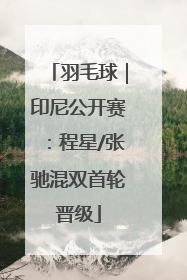 羽毛球｜印尼公开赛：程星/张驰混双首轮晋级
