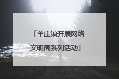 羊庄镇开展网络文明周系列活动